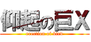 仰起の巨Ｘ (erection of bird)