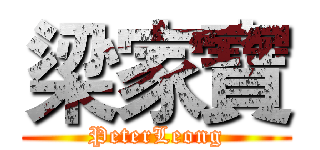 梁家寶 (PeterLeong)