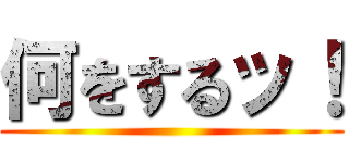 何をするッ！ ()