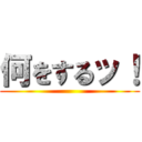 何をするッ！ ()