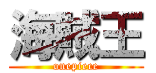 海賊王 (onepiece)