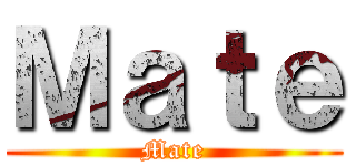 Ｍａｔｅ (Mate)