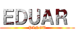 ＥＤＵＡＲ  (PINGU)