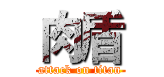 肉盾 (attack on titan)