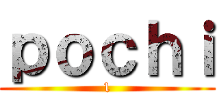 ｐｏｃｈｉ (1)