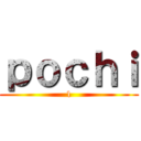 ｐｏｃｈｉ (1)