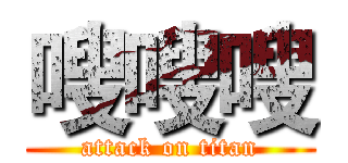 嗖嗖嗖 (attack on titan)