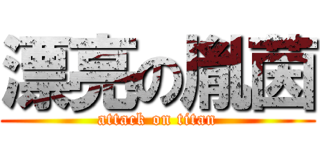 漂亮の胤茵 (attack on titan)