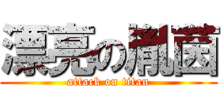 漂亮の胤茵 (attack on titan)