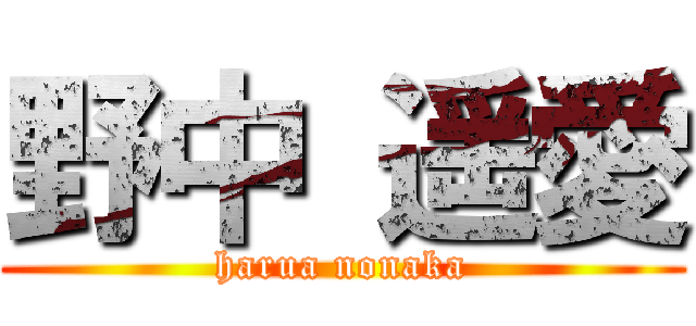 野中 遥愛 (harua nonaka)