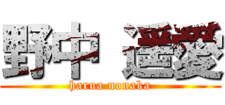 野中 遥愛 (harua nonaka)