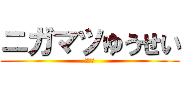 ニガマツゆうせい (まめー)