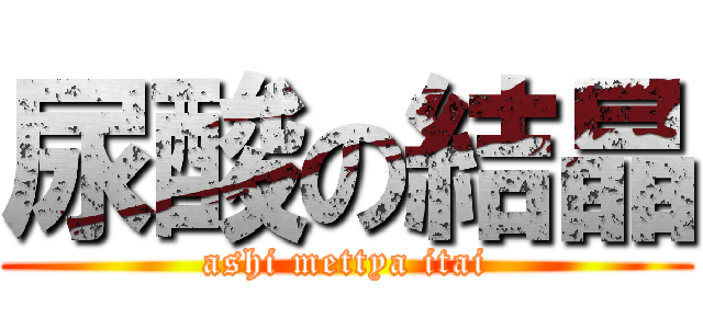 尿酸の結晶 (ashi mettya itai)