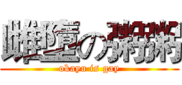 雌墮の粥粥 (okayu is gay)