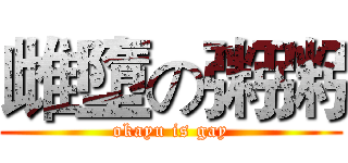 雌墮の粥粥 (okayu is gay)