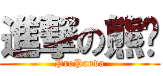 進撃の熊貓 (ProPanda)