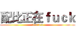 配比正在ｆｕｃｋ (fuckfuck)