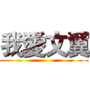 我愛文翼 ()