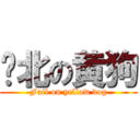 败北の黄狗 (Fail on yellow dog)