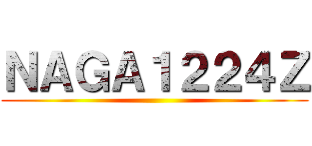 ＮＡＧＡ１２２４Ｚ ()