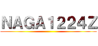 ＮＡＧＡ１２２４Ｚ ()