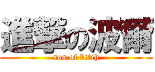 進撃の波爾 (son of bitch)