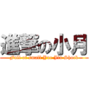 進撃の小月 (Full of small Yue Jin Shock)