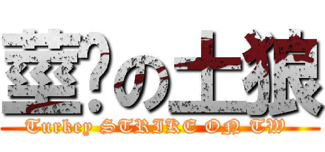 莖擊の土狼 (Turkey STRIKE ON TW )