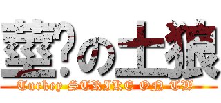 莖擊の土狼 (Turkey STRIKE ON TW )