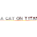 Ａ ＣＡＴ ＯＮ ＴＩＴＡＮＳ  (jaja salu2)