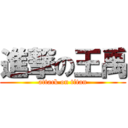 進撃の王禹 (attack on titan)