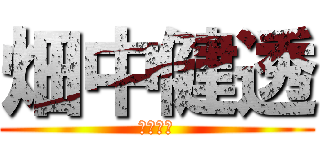 畑中健透 (畑中健透)