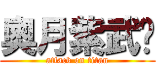 奧月紫武焰 (attack on titan)