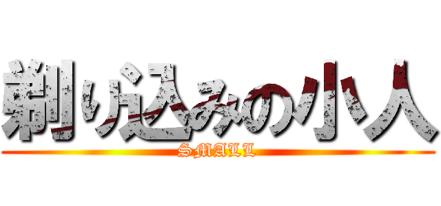 剃り込みの小人 (SMALL)