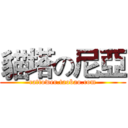 貓塔の尼亞 (cattower.taobao.com)