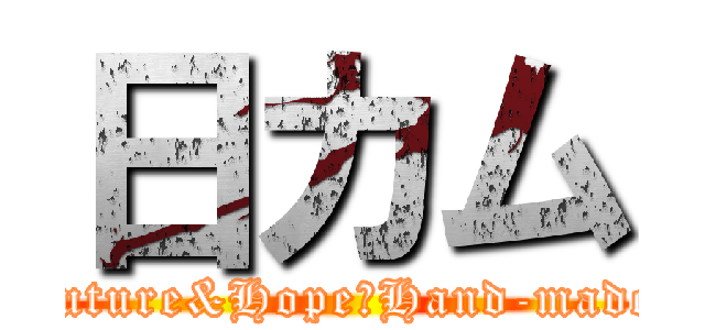 日カム (Future&Hope（Hand-made))
