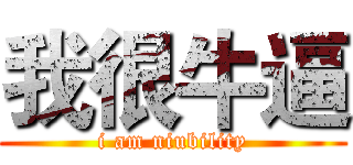 我很牛逼 (i am niubility)