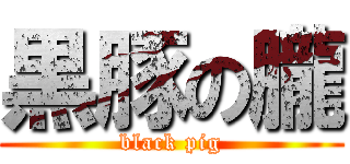 黒豚の朧 (black pig)