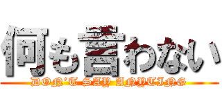 何も言わない (DON’T SAY ANYTING)