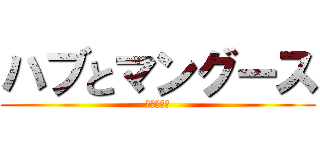 ハブとマングース (劇プレ界の)