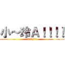 小～玲Ａ！！！！ (WTF！？)