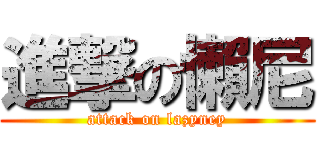 進撃の懶尼 (attack on lazyney)