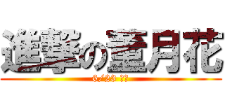 進撃の董月花 (6/23 來襲)