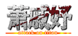 萧戚妤 (attack on titan)