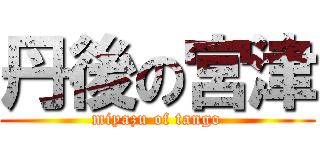 丹後の宮津 (miyazu of tango)