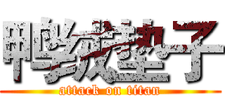 鸭绒垫子 (attack on titan)