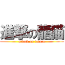 進撃の龍猫 (attack on totoro)