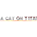 Ａ ＣＡＴ ＯＮ ＴＩＴＡＮ (A CAT on titan)