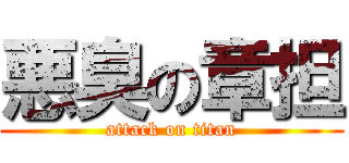 悪臭の章担 (attack on titan)
