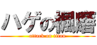 ハゲの楓磨 (attack on titan)